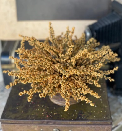 Halh Sphere - Fall Heather 10.5', Mustard