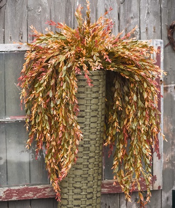 Hanging Bush - Common Boxwood 34.5', Green and Red