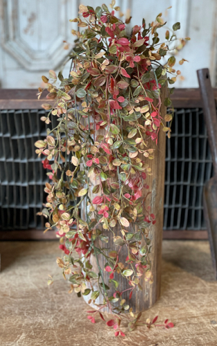 Hanging Cluster - Bog Pimpernel 34', Red