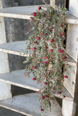 Hanging Cluster - Chalice Blooms 33', Dark Red