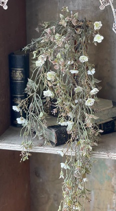 Hanging Cluster -  Julep Blooms 34', Cream