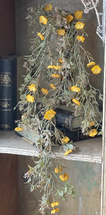 Hanging Cluster - Julep Blooms 34', Mustard