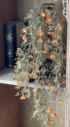 Hanging Cluster - Julep Blooms 34', Pumpkin