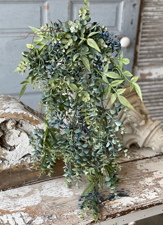 Hanging Cluster - Lapis Hills Eucalyptus 31'