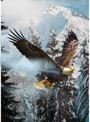 Hoffman California - Call of The Wild - 31.25' Soaring Eagle Panel, Awakening