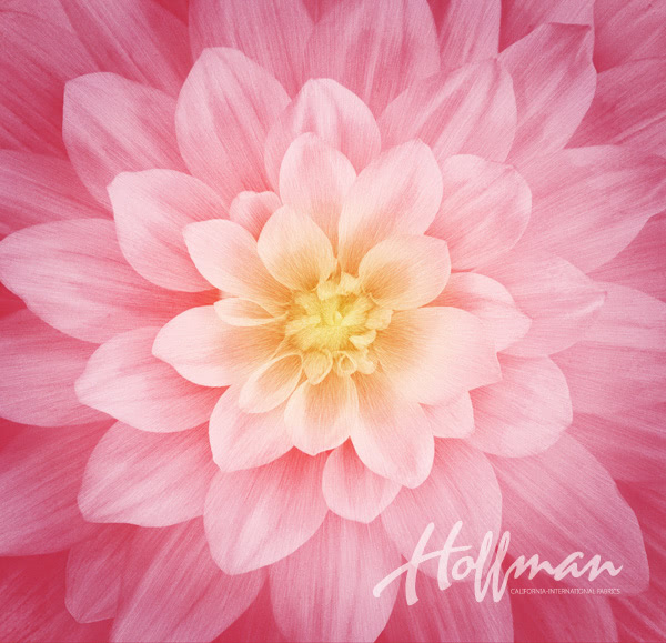 Hoffman California - Dream Big - 43' Panel, Wild Rose