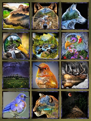 Hoffman California - Wild And Woven - 41 1/4' x 56 1/4' Panel, Meadow