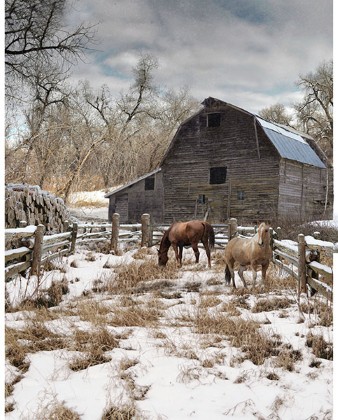 Hoffman California - Winterwind Stables - 34? x 43' Horse Panel, Pasture