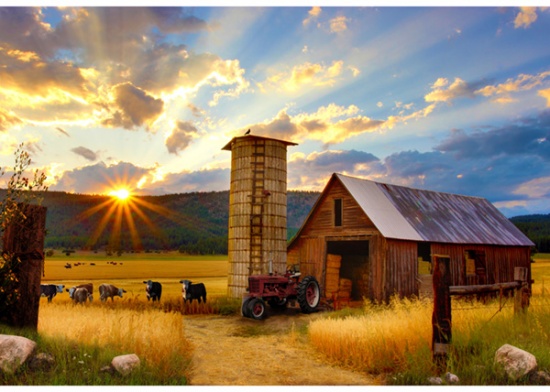 Hoffman Spectrum Digital - Sun Up to Sundown - 30' Farm Panel, Multi/Barn Red