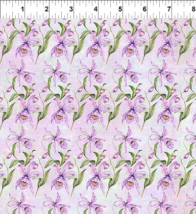 In The Beginning - Botanical - Iris' w/Leaves, Pale Lavender
