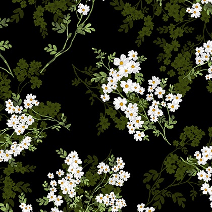 Kanvas Studio - Daisy Delight - Wild Flower Romance, Black