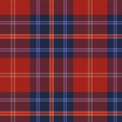 Marcus Fabrics - Primo Plaid Flannel - Mix & Mingle, Red/Blue