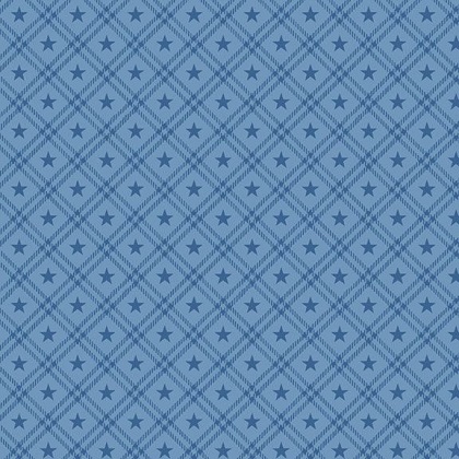 Marcus Fabrics - Star Struck - Star Plaid, Blue