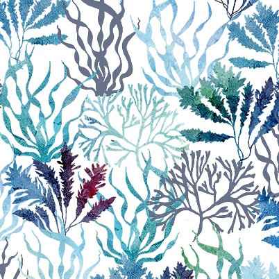 Michael Miller - Fanciful Sea Life - Twirling Seaweed, White