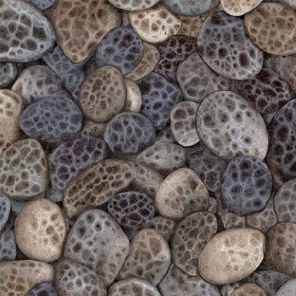 Michael Miller - Starlit Towers - Shoreline Dots, Clay