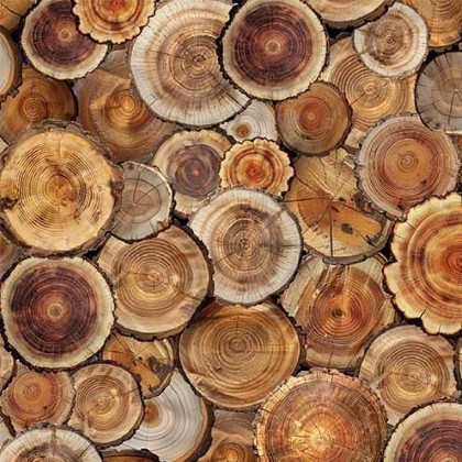 Michael Miller - The Great Outdoors - Cut Logs, Brown