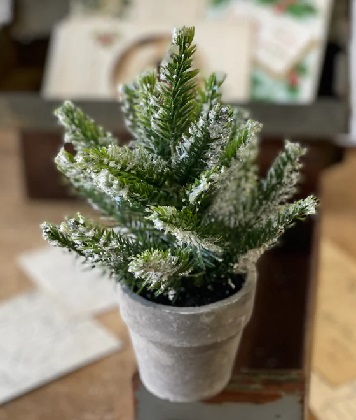 Mini Tree - Potted Icy Pine 7'