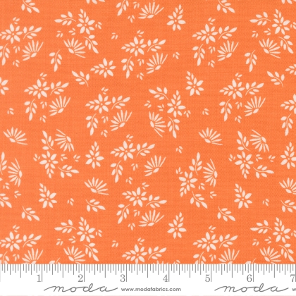 Moda - Birch & Willow - Flora, Pumpkin