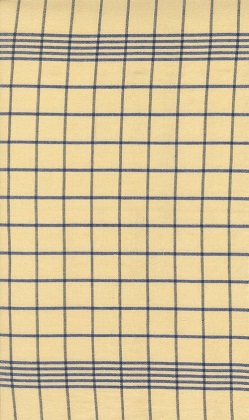 Moda - Summer Solstice Toweling - 18' Hemmed Edge - Checks, Canary