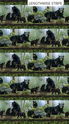 Northcott - Bear's Den - Border Stripe, Black