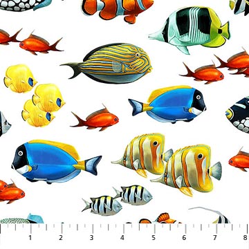 Northcott - Coral Reef 1 - Tropical Fish, White