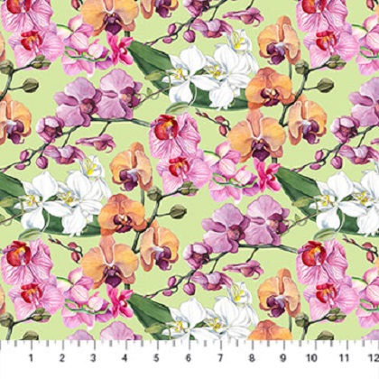 Northcott - Orchids in Bloom - Orchids, Green/Multi