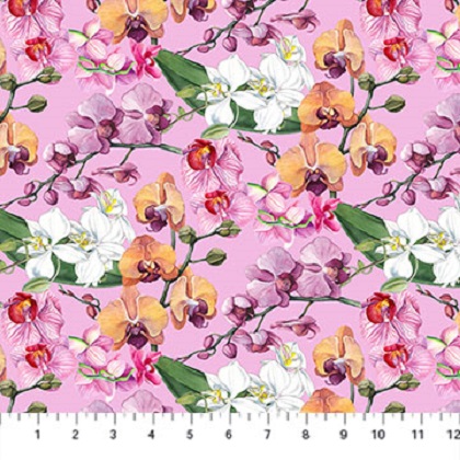 Northcott - Orchids in Bloom - Orchids, Pink/Multi