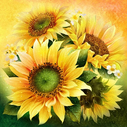 Oasis - 60' Sunny Day - Sunflower 60' x 60' Panel, Bright Yellow