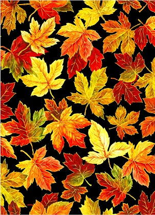 Oasis Fabrics - Change of Seasons - Spaced Leaves, Black