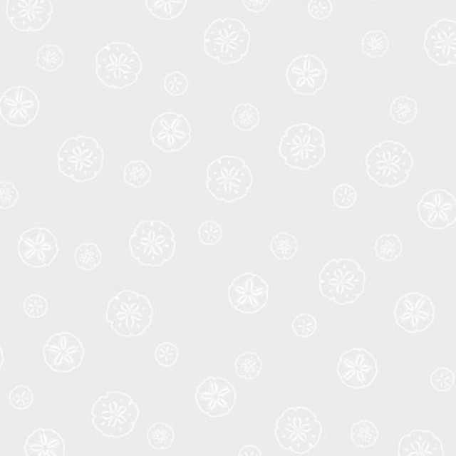 P & B Textiles - Ramblings By The Sea - Sand Dollars, White on White