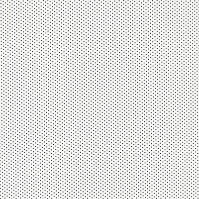 Paintbrush Studio - Essentials - Micro Dot, White/Black