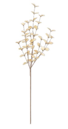 Pick - Eucalyptus 34', Beige