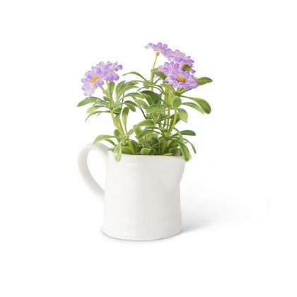 Pitcher - Daisy 5.5', Purple