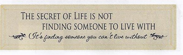 Plaque - The Secret Of Life 10X36 (White)