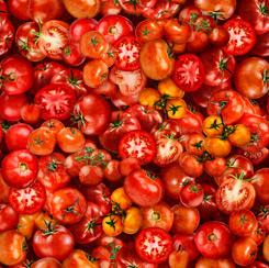 Quilting Treasures - Fresh - Tomato, Red