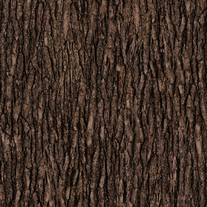 Quilting Treasures - Open Air - Bark, Auburn