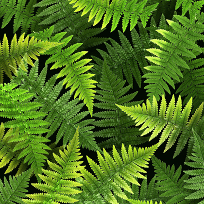 Quilting Treasures - Open Air - Ferns, Spring Green