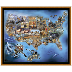 Quilting Treasures - Sew & Go VII - 36' USA Animal Map, Multi