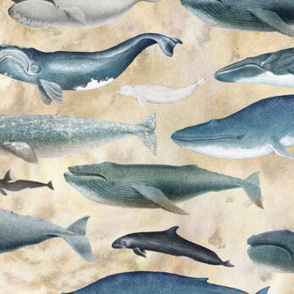 Quilting Treasures - Siren's Call - Whales, Ecru