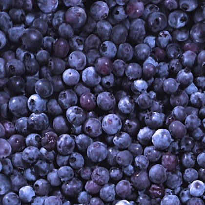 Quilting Treasures - This & That V - Blueberries, Blueberry