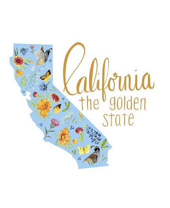 Riley Blake - Golden Poppies - 36' California Panel, White