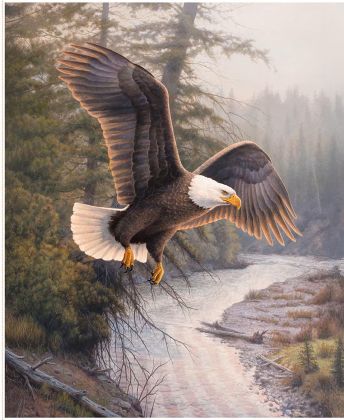 Riley Blake - Majestic in Nature - 36' Eagle Patriot Panel