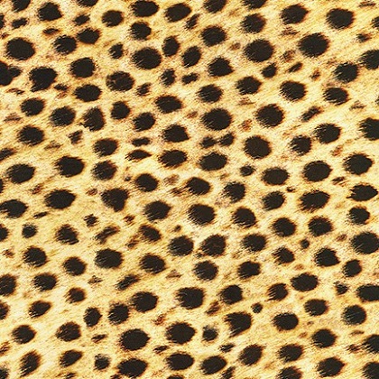 Robert Kaufman - Animal Kingdom - Leopard Spots, Wild