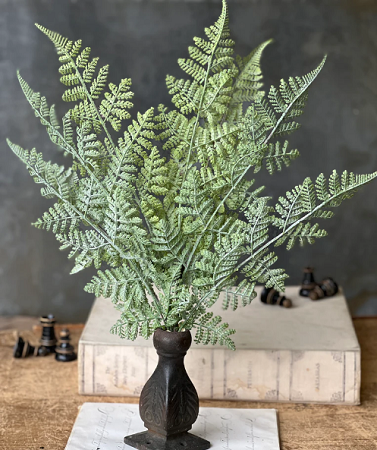 Ruffian Fern Bush | 20'