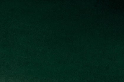 Shannon Fabrics - Cuddle 3 Solid - 90', Spruce