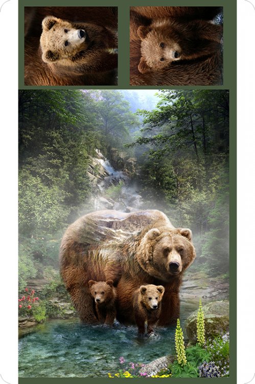 Shannon Fabrics - Cuddle Prints - 36' Grizzly Panel, Brown