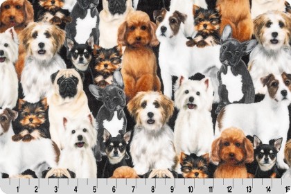 Shannon Fabrics - Cuddle Prints - Dog-Pile, Beige