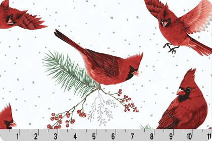 Shannon Fabrics - Cuddle Prints - Frost Flight Digital, Cardinal