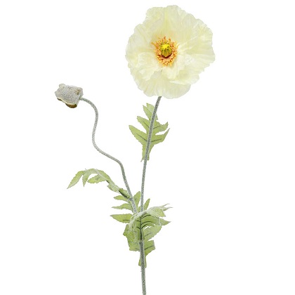 Stem - Elegant Poppy 28.5', Cream