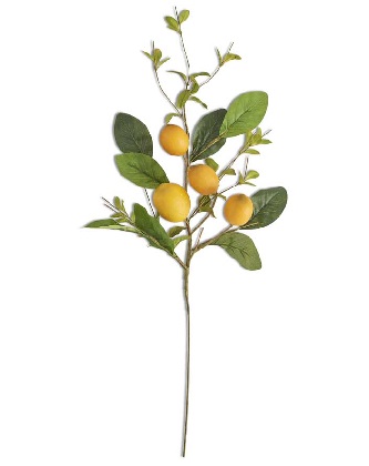 Stem - Lemon and Foliage 28'